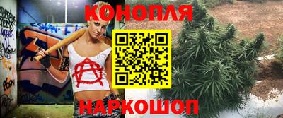 Альфа ПВП Ипатово