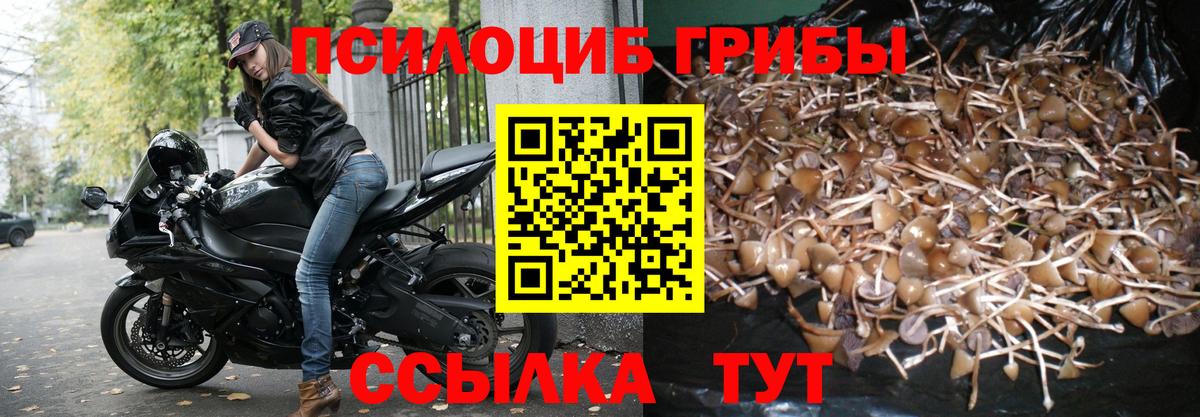 Заволжье  Псилоцибиновые грибы Cubensis  Галлюциногенные грибы Magic Shrooms  Вход с VPN 