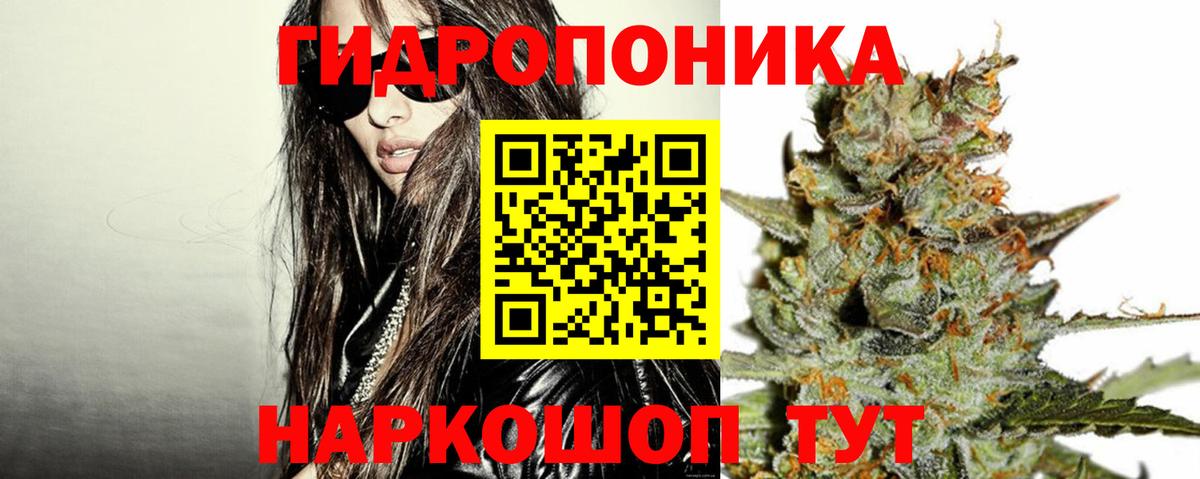 Бошки Шишки  Кокаин  NBOMe  Купить наркотик  Меф   Вход с VPN  Гашиш  Заволжье  ЭКСТАЗИ 